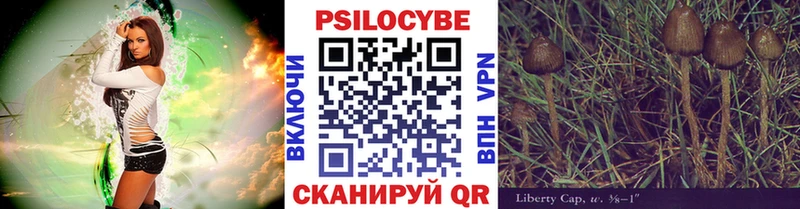 Галлюциногенные грибы Cubensis магазин продажи наркотиков Пересвет