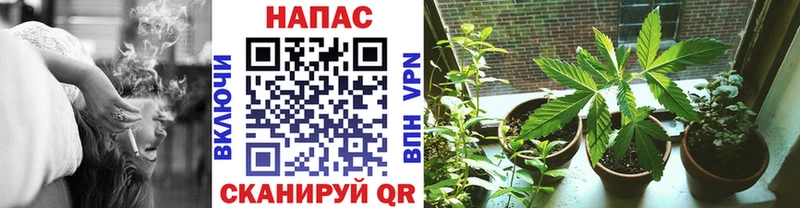 Каннабис LSD WEED Пересвет